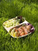 Harrods Launches Gourmet Picnic Menus