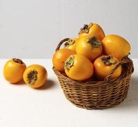 Persimmon Fruit 