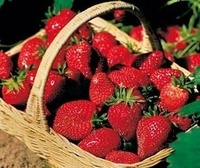 Grow your way to a healthier future