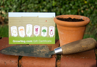 Plan a vegetable garden this Christmas