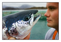 Fresh Salmon market leaps 22%