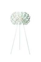 Evitavonni introduce Moooi