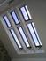 Conservation Rooflight