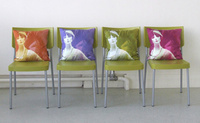 Interior accessories with a twist
