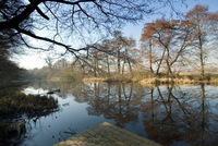 If you go down to the woods today, be sure of a million pound surprise