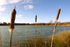 Eight apartments and one special event at Willow Lake