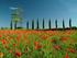 The beautiful Herault countryside
