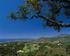 Marbella property market - The top end wears Teflon