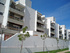 Green 5 by same developers as Hoyo 19 