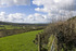 New development in Devon prepares for launch 