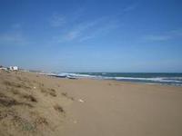 Beach at Saidia