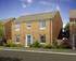 See the family-sized ‘Citrine' at Brackens Court