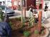 Residents rejoice over DIY Streets decision