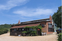UK’s oldest producing vineyard up for auction for £800k