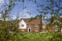 David Wilson Homes receives a dose of vitamin G