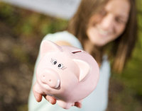 Persimmon's tips for a frugal 2009