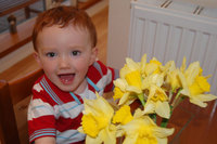 Daffodils for all Gladedale visitors