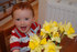 Daffodils for all Gladedale visitors 