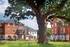 Shinfield Park
