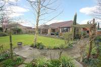 Bungalow is an oasis of delight