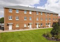Luxurious show home goes back to nature