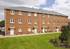 Luxurious show home goes back to nature 