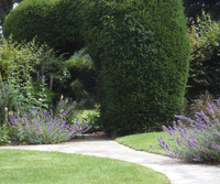 Looking for a garden designer?