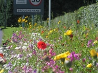 Locals root together for bloom success