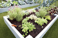 Keep up with the Greens and stay ahead in the property market