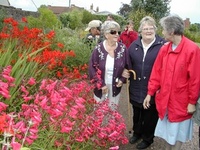 Visit Thrive and find out more about the power of gardening