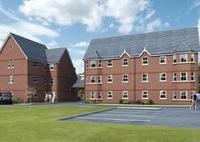 Buy with a friend in Spital