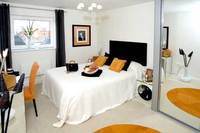 Affordable home moves with Miller