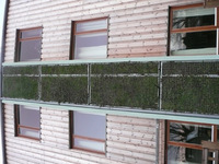 Innovation for a greener future