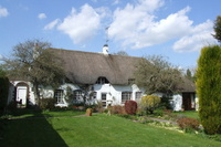 Taste island life - In deepest Wiltshire