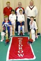 Bowled over by sponsorship