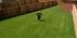 Jenny Andrew, Barratt sales negotiator, showing how large the gardens are at The Grange.