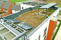 Eco features on offer at Northampton development