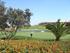 Brian and Annes villa overlooks the 17th green and lake