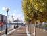 The tree-lined waterside boulevard at Salford Quays