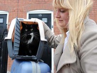Paws for thought - Tips for moving house with your pets