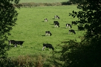 Meet the neighbours this summer at Valley Mill