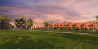Why it pays to go green at icon