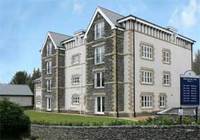 Go and take a look - Mountain Ash in Windermere