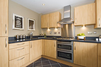 Weekend bonanza in Hamilton, Leicestershire