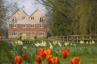 New show apartment opens at Millfield Wharf