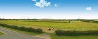 The best of town and country living in Telford
