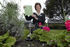 Blooming marvelous in Horwich 