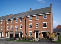 David Wilson Homes lends a helping hand
