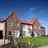 Loving owners sought for happy times in new homes 