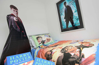 Harry Potter’s wizardrous move to Lincoln